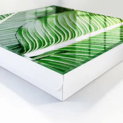 Key box for wall Greenery of nature