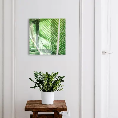 Key box for wall Greenery of nature