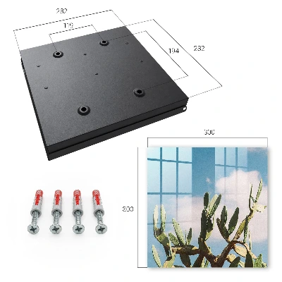 Key box for wall Green cactus