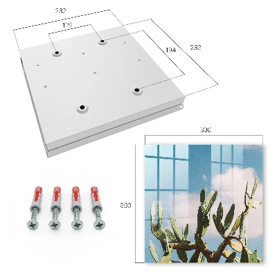 Key box for wall Green cactus
