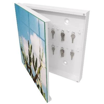 Key box for wall Green cactus