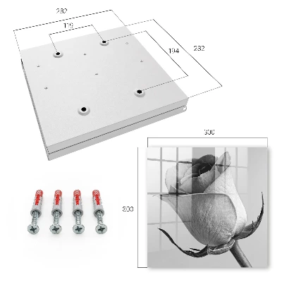 Key box for wall Rose elegance