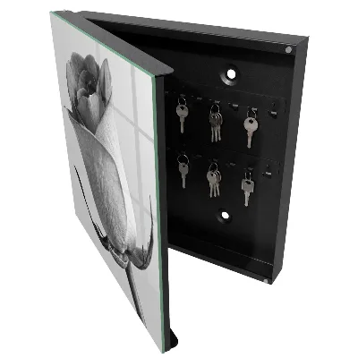 Key box for wall Rose elegance
