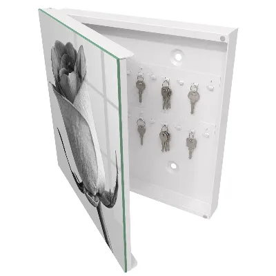 Key box for wall Rose elegance