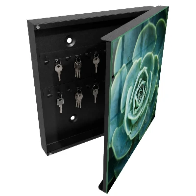Wall mounted key box Green rosette