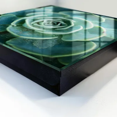 Wall mounted key box Green rosette