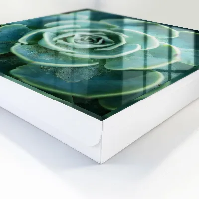 Wall mounted key box Green rosette