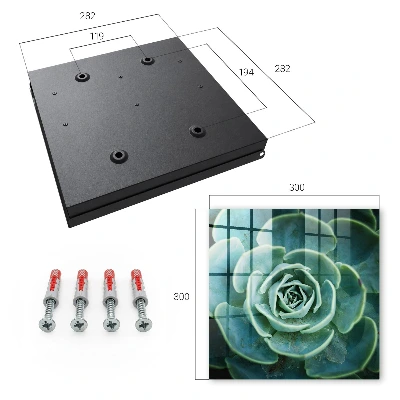 Wall mounted key box Green rosette