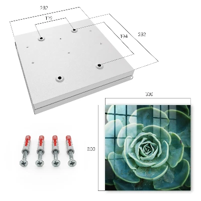 Wall mounted key box Green rosette