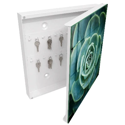 Wall mounted key box Green rosette