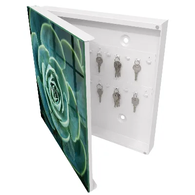 Wall mounted key box Green rosette