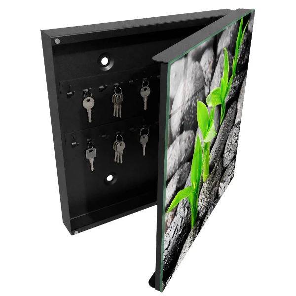 Key cabinet Green nature