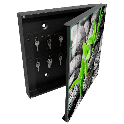 Key cabinet Green nature