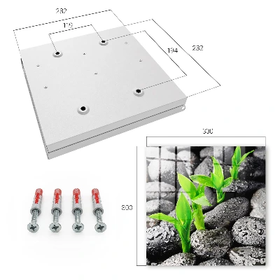 Key cabinet Green nature