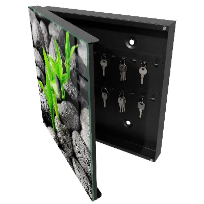 Key cabinet Green nature