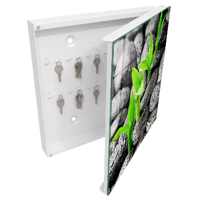 Key cabinet Green nature