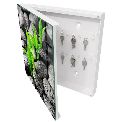 Key cabinet Green nature
