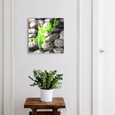 Key cabinet Green nature