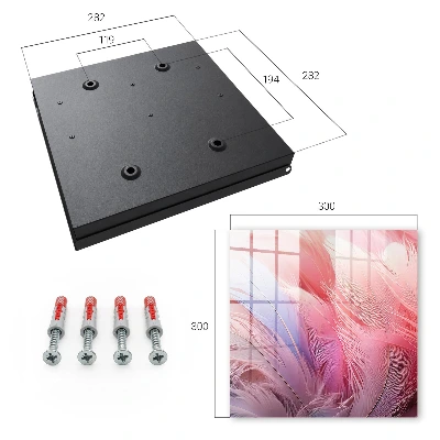 Key box for wall Beautiful pink feathers