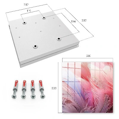 Key box for wall Beautiful pink feathers