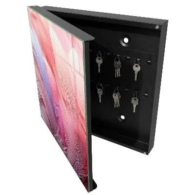 Key box for wall Beautiful pink feathers