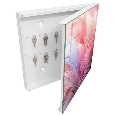 Key box for wall Beautiful pink feathers