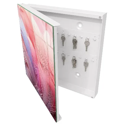 Key box for wall Beautiful pink feathers