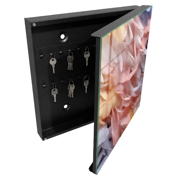 Key box for wall Pastel feathers