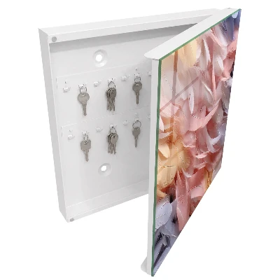 Key box for wall Pastel feathers