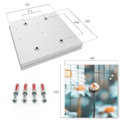 Wall mounted key box Floral lightness