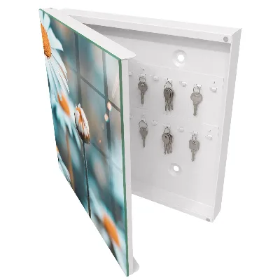 Wall mounted key box floral lightness design