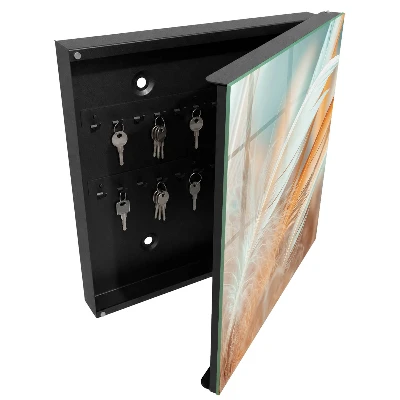 Wall mounted key box Pastel feathers
