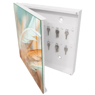 Wall mounted key box Pastel feathers