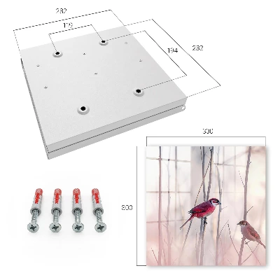 Key cabinet two birds design