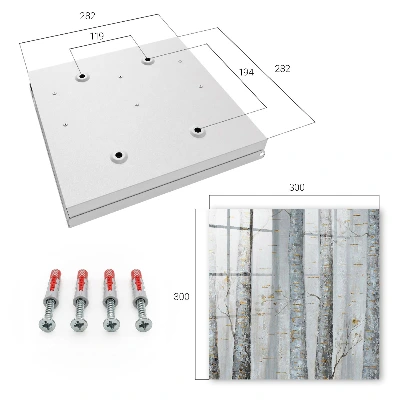 Key cabinet Birches nature