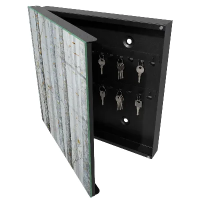 Key cabinet Birches nature