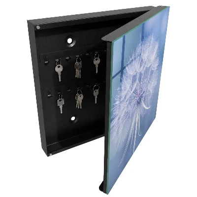 Key box for wall Subtle dandelion