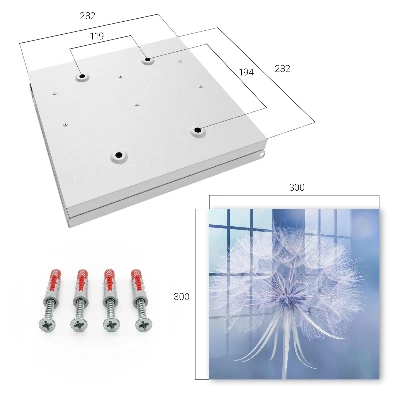 Key box for wall Subtle dandelion