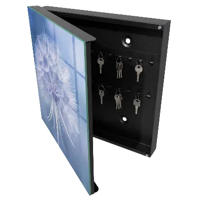 Key box for wall Subtle dandelion
