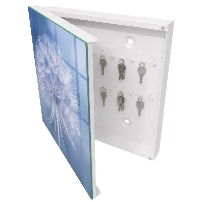 Key box for wall Subtle dandelion