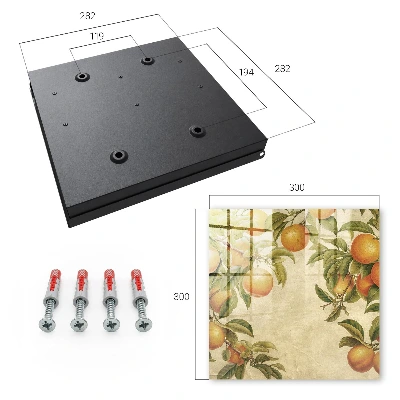 Key box for wall Oranges nature