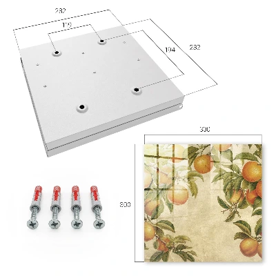 Key box for wall Oranges nature