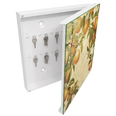Key box for wall Oranges nature