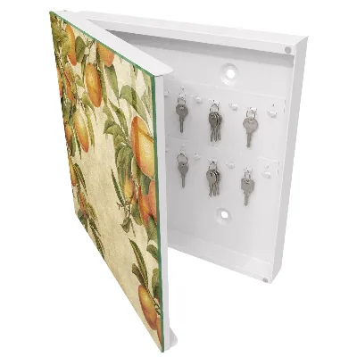 Key box for wall Oranges nature
