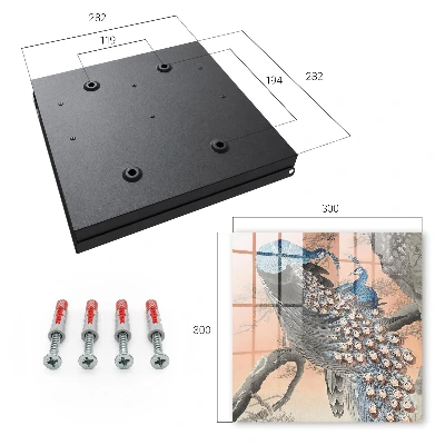 Wall mounted key box peacock beauty design