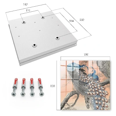 Wall mounted key box Peacock beauty
