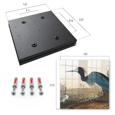 Wall mounted key box Exotic bird