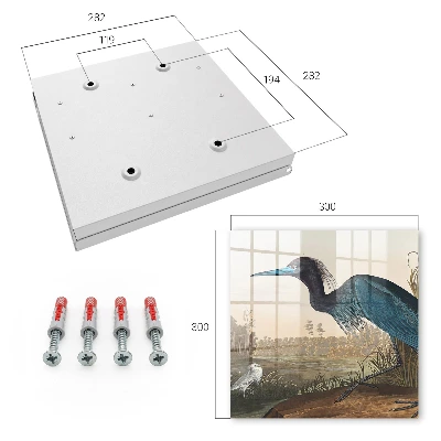 Wall mounted key box Exotic bird