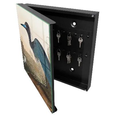 Wall mounted key box Exotic bird