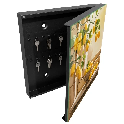 Key cabinet Lemon freshness